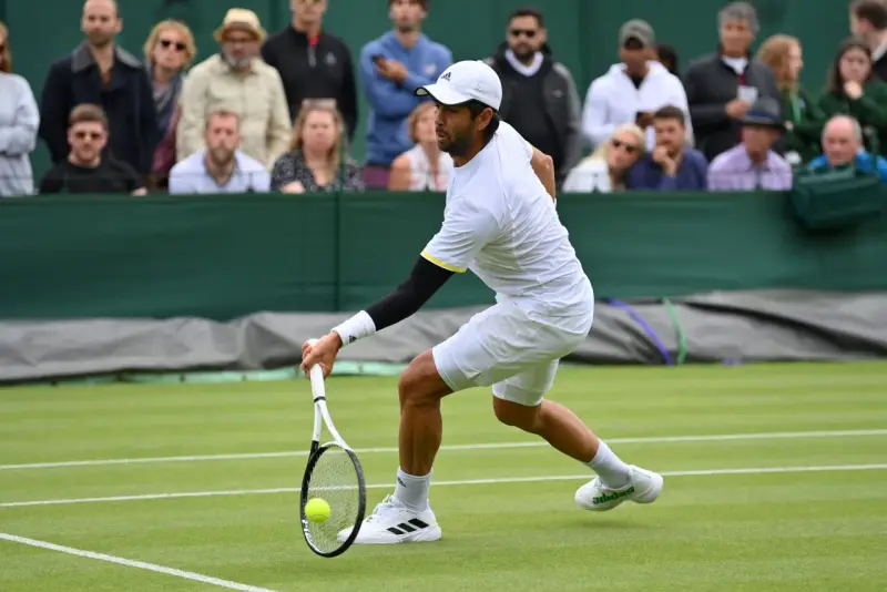 Fernando Verdasco Carmona, tenista español, golpea la pelota en una cancha de césped.